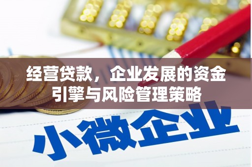喜德经营贷款，企业发展的资金引擎与风险管理策略