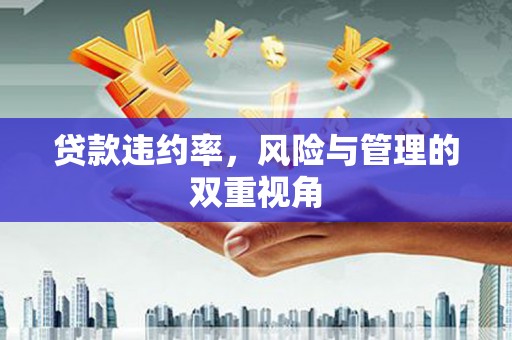 喜德贷款违约率，风险与管理的双重视角