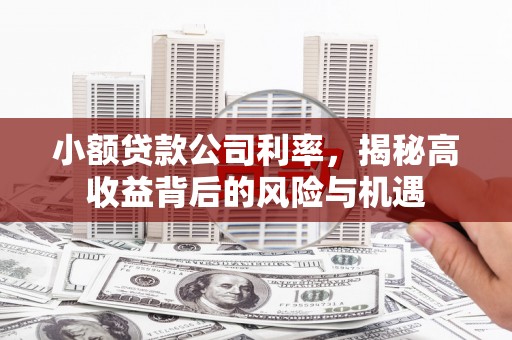 喜德小额贷款公司利率，揭秘高收益背后的风险与机遇