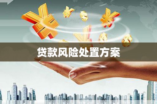 喜德贷款风险处置方案