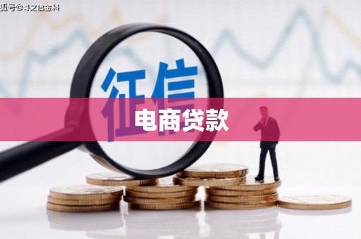 喜德电商贷款