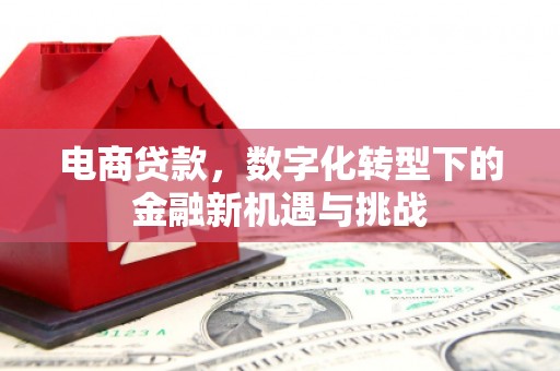 喜德电商贷款，数字化转型下的金融新机遇与挑战