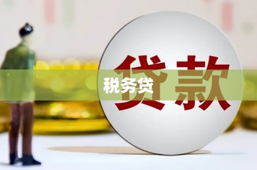 喜德税务贷