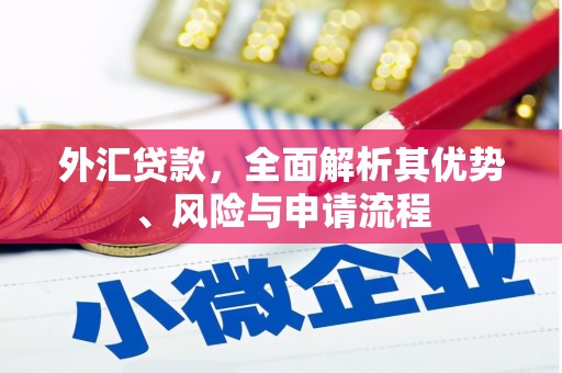 喜德外汇贷款，全面解析其优势、风险与申请流程