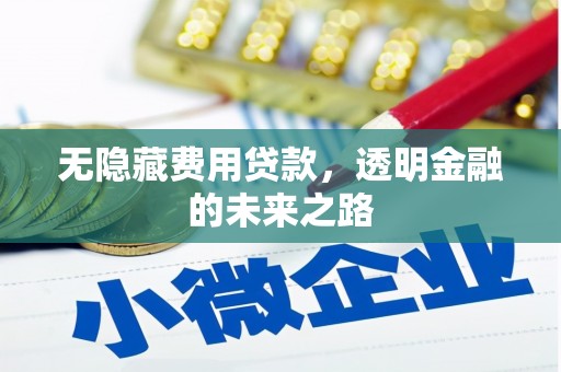 喜德无隐藏费用贷款，透明金融的未来之路