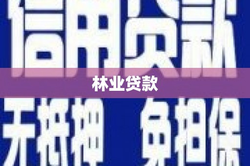 喜德林业贷款