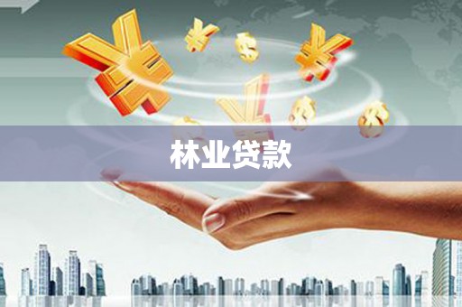 喜德林业贷款