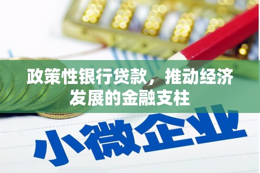 喜德政策性银行贷款，推动经济发展的金融支柱