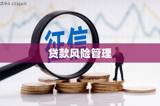 喜德贷款风险管理