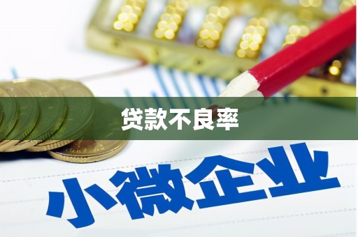 喜德贷款不良率