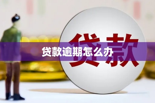 喜德贷款逾期怎么办