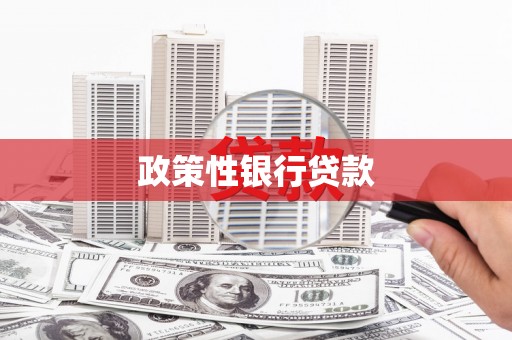 喜德政策性银行贷款