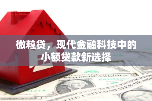 喜德微粒贷，现代金融科技中的小额贷款新选择