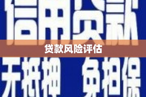 喜德贷款风险评估