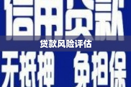 喜德贷款风险评估