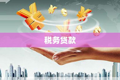 喜德税务贷款