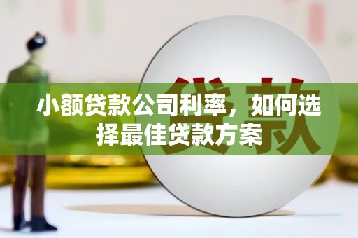 喜德小额贷款公司利率，如何选择最佳贷款方案