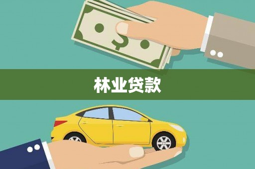 喜德林业贷款