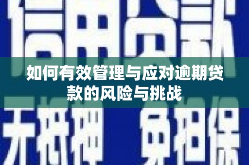 喜德如何有效管理与应对逾期贷款的风险与挑战