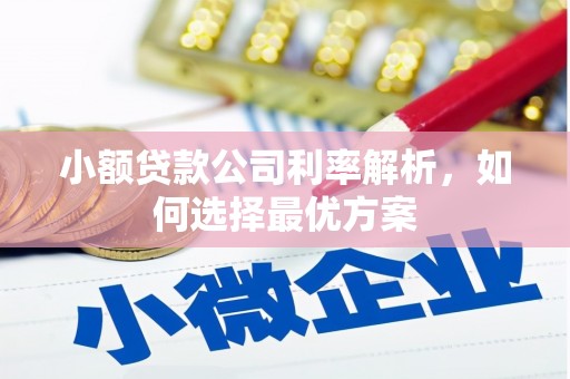 喜德小额贷款公司利率解析，如何选择最优方案