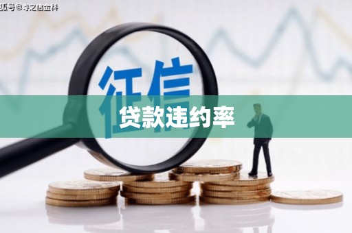 喜德贷款违约率