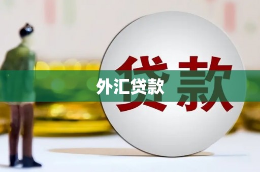 喜德外汇贷款