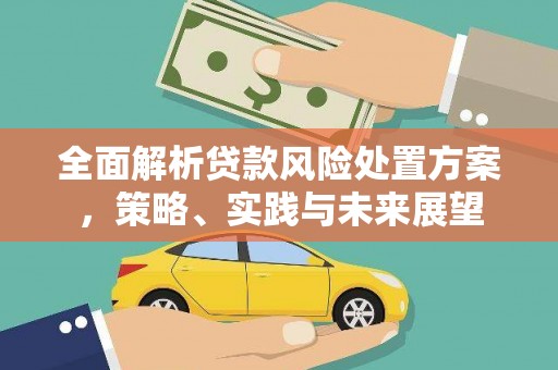 喜德全面解析贷款风险处置方案，策略、实践与未来展望