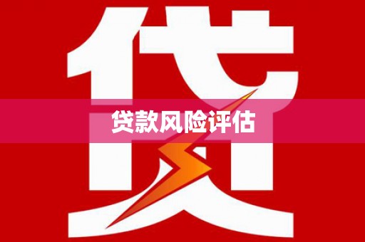 喜德贷款风险评估