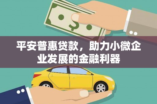喜德平安普惠贷款，助力小微企业发展的金融利器