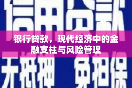 喜德银行贷款，现代经济中的金融支柱与风险管理