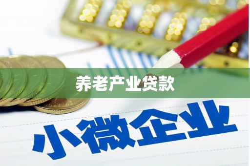 喜德养老产业贷款