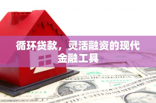 喜德循环贷款，灵活融资的现代金融工具