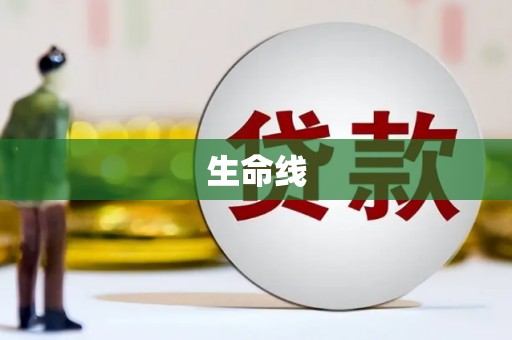 喜德生命线