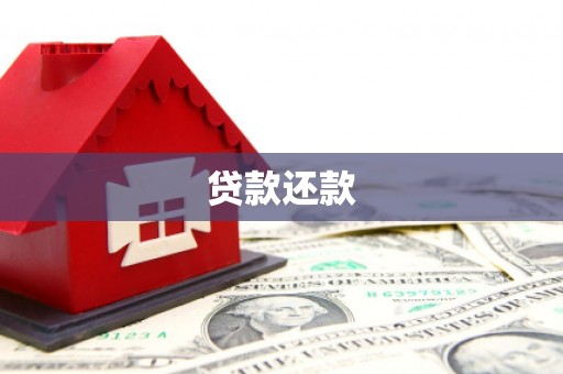 喜德贷款还款