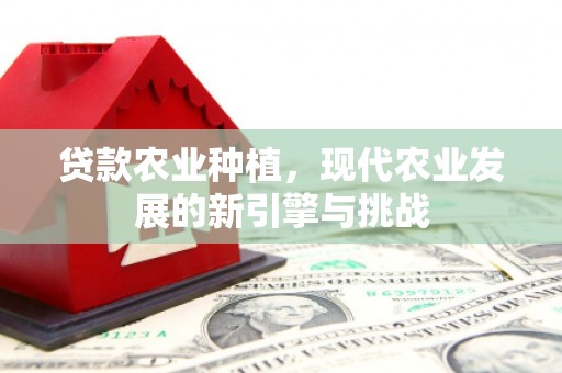 喜德贷款农业种植，现代农业发展的新引擎与挑战