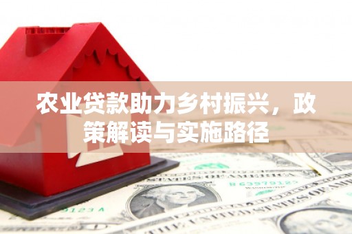 喜德农业贷款助力乡村振兴，政策解读与实施路径