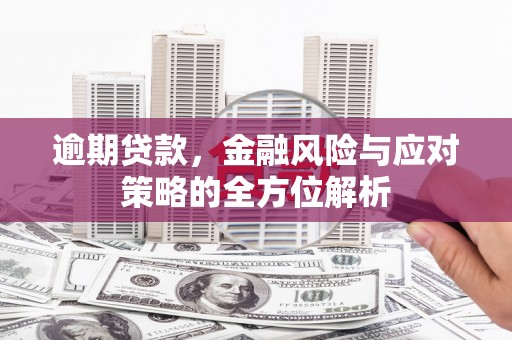 喜德逾期贷款，金融风险与应对策略的全方位解析