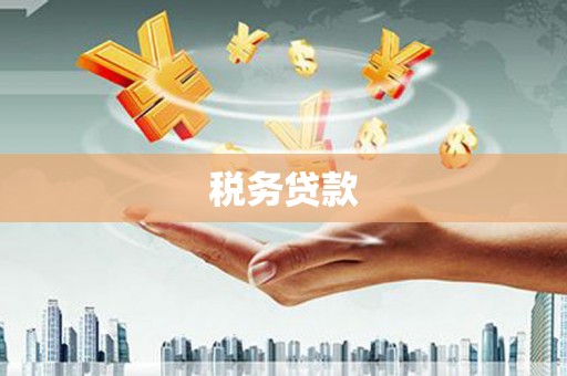 喜德税务贷款