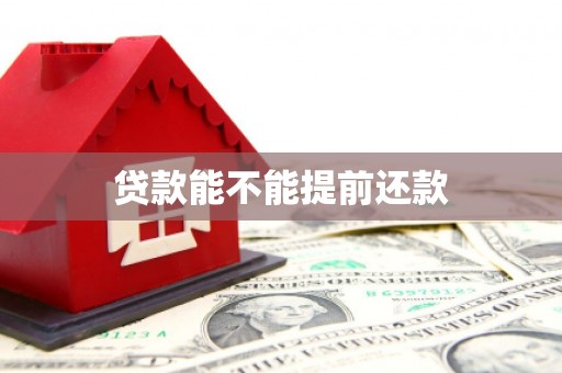 喜德贷款能不能提前还款