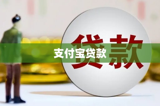 喜德支付宝贷款