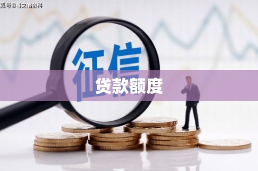 喜德贷款额度