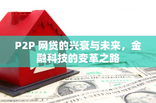 喜德P2P 网贷的兴衰与未来，金融科技的变革之路