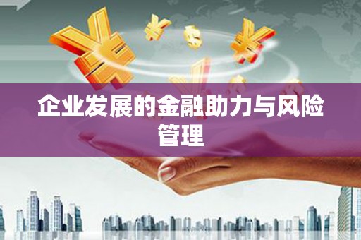 喜德企业发展的金融助力与风险管理