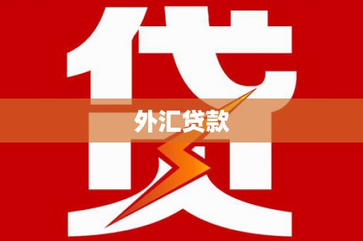 喜德外汇贷款