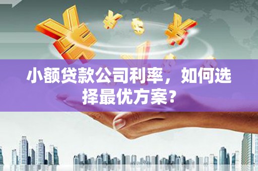 喜德小额贷款公司利率，如何选择最优方案？