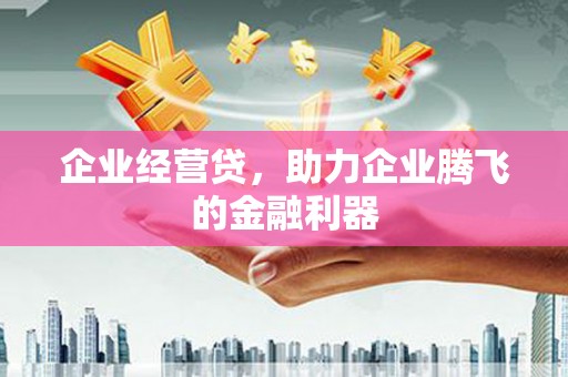 喜德企业经营贷，助力企业腾飞的金融利器