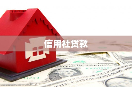 喜德信用社贷款