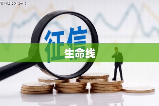 喜德生命线