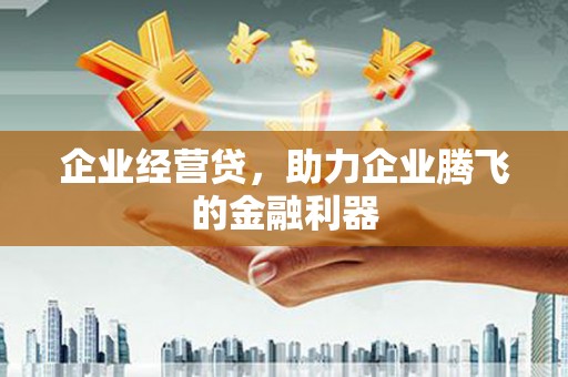 喜德企业经营贷，助力企业腾飞的金融利器