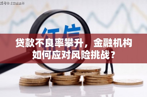 喜德贷款不良率攀升，金融机构如何应对风险挑战？